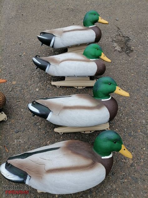 6 Plastic Duck Decoys Northwest Firearms