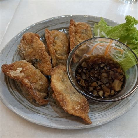 Lucky Cat Hougang Singapore Deep Fried House Made Dumplings Review