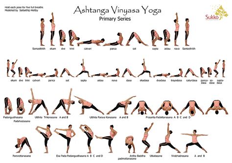 Diferencia Entre Purna Vinyasa Yoga Y Ashtanga Vinyasa Yoga