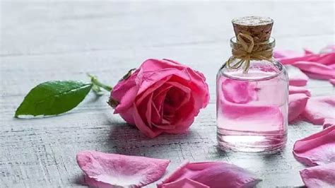 Rose Water Cubes गुलाब जल आइस क्यूब्स का इस तरह करें इस्तेमाल स्किन