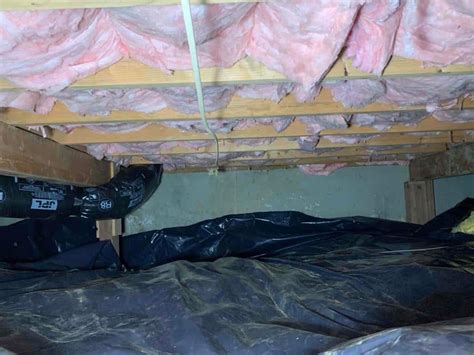 Crawl Space Clean Up Renton WA ESS Company