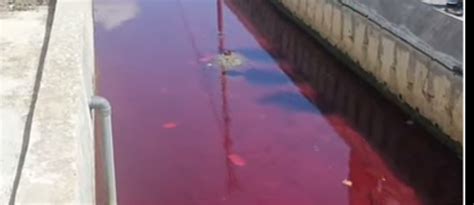 Air Sungai Di Pamekasan Berubah Warna Jadi Merah Pekat Pemerhati