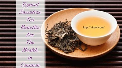 17 Typical Sassafras Tea Benefits For The Health In Common