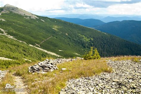Мандрівка Карпатами очима фотографа (Фото)
