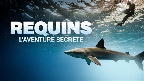 Redirecting To Documentaires 4227994 Requins L Aventure Secrete Html