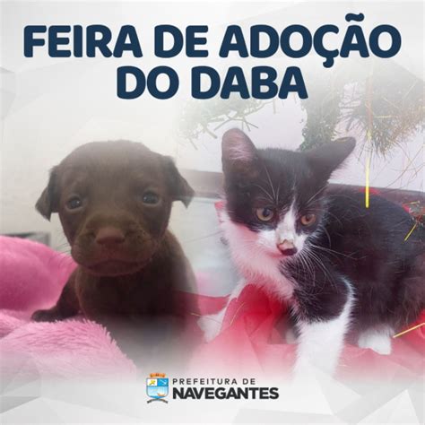 Neste sábado tem Feira de Adoção de Animais em Navegantes Penha