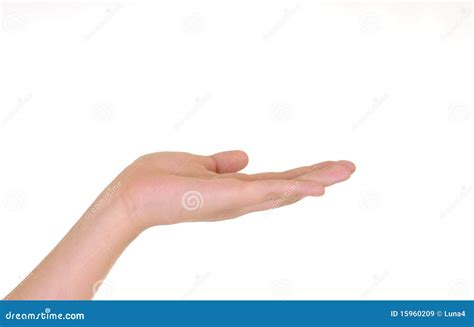 Left Hand Stock Image Image Of Catch Hand Symbol Isolated 15960209