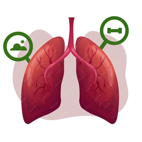 Fatores que afetam a saúde pulmonar Ilustração vetorial adore o seu mês