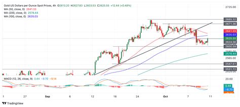 Gold Rebounds After Mixed US Data