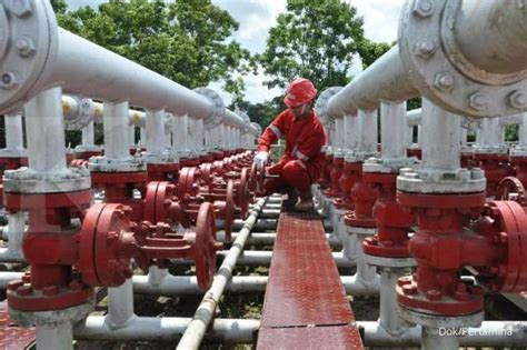 Skk Migas Masih Melakukan Evaluasi Harga Gas Bumi Tertentu Hgbt