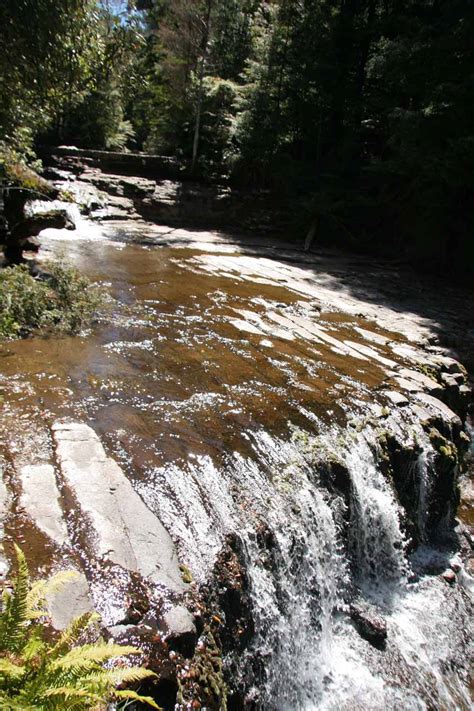 Liffey Falls Four Waterfalls In A World Heritage Area