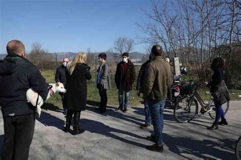 Incursione Di Caserta Decide Sui Terreni De Lo Uttaro Serve La