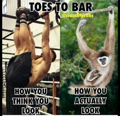 Funny Crossfit Jokes