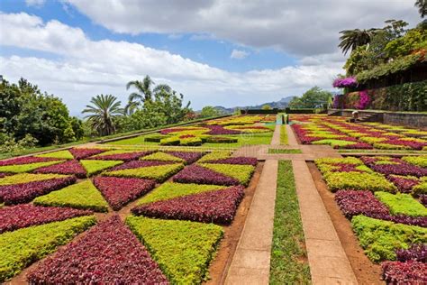 Tropical Botanical Garden In Funchal Madeira Island Portugal Stock