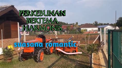 Suasana Kebun Yang Romantic Yang Bikin Gk Mau Pulang Kerumah YouTube