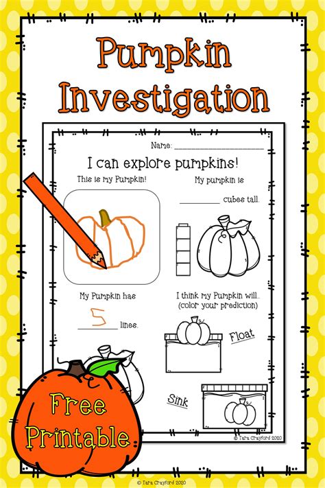 Pumpkin Exploration Science Worksheet Freebie Math Activities