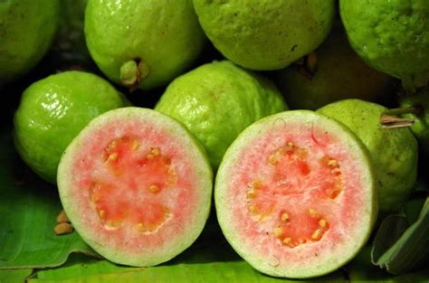 Types Of Guava Trees Hunker