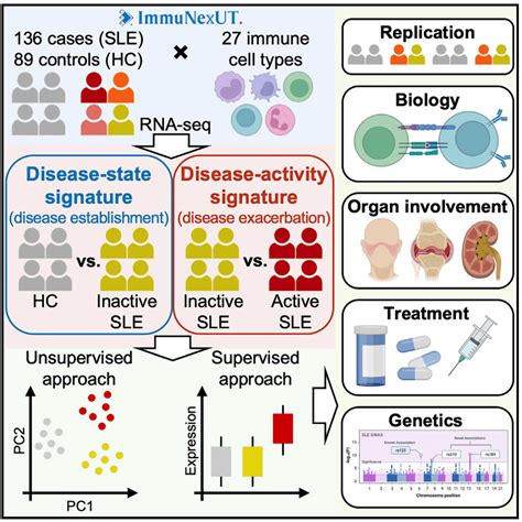 Cell 大规模多细胞类型组学揭示系统性红斑狼疮的分子特征lupus基因组bioart