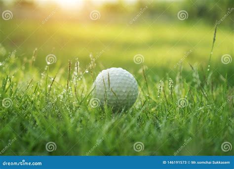 Golf Ball On Green Grass In Beautiful Golf Course At Sunset Background