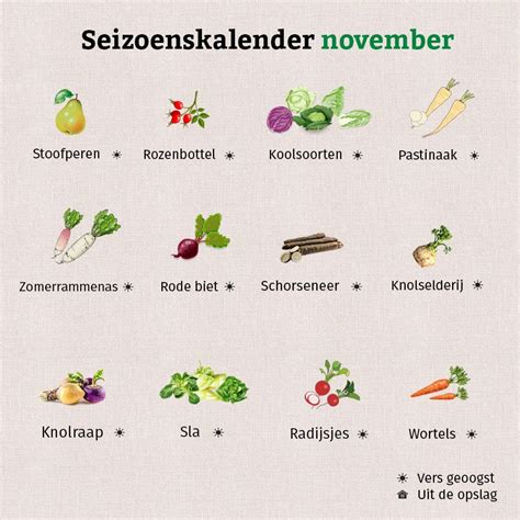 Seizoenskalender November Waschb R Magazine