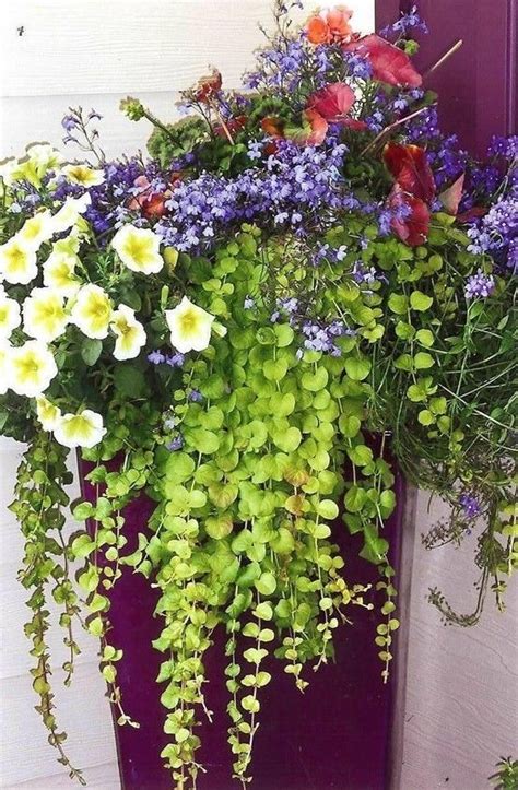 A Purple Planter Filled With Lots Of Flowers