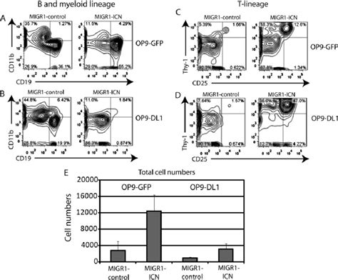 Dl Notch Signaling Diverts Lk Cells From The B And Myeloid Lineages To Download Scientific