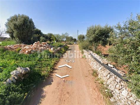 Asta Per Terreno Agricolo Strada Comunale Macchialunga 4 Polignano A