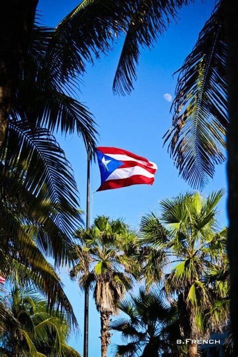 Puerto Rico Fotos De Puerto Rico Navidades En Puerto Rico Cultura