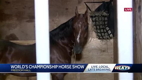 Preview Of Worlds Championship Horse Show At The Kentucky State Fair