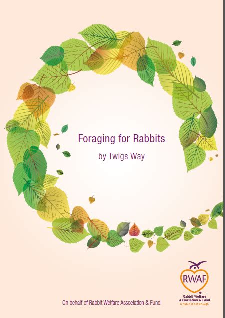 Foraging for rabbits | Rabbit Welfare Shop