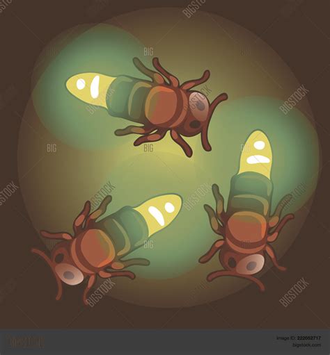 Set Cartoon Firefly Vector And Photo Free Trial Bigstock