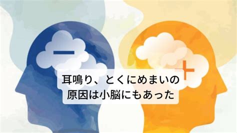 三半規管鍛えるならツボと新しい運動法｜三鷹の自律神経専門 鍼灸院 コモラボ【公式】