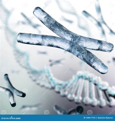 X Chromosomen Auf Einem Unscharfen Hintergrund Stock Abbildung