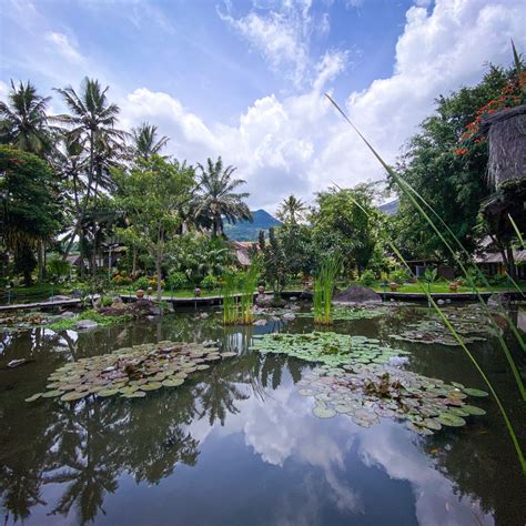 Sumber Alam Garden Of Water Resort Cipanas Garut Dengan Nuansa