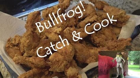 Big Louisiana Bullfrogs Catch Clean And Cook Youtube