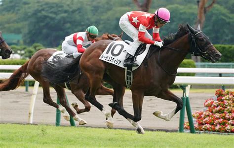 ＜新潟5r新馬戦＞レースを制したルージュスティリア（撮影・郡司 修） ― スポニチ Sponichi Annex ギャンブル