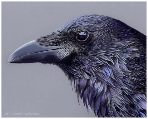 Raven Profile Portrait Fine Art Giclee Print 10x8ins Etsy