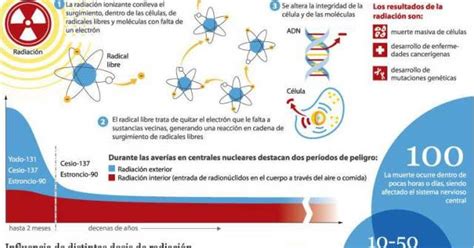 Tecnicos Radiologos Efectos De La Radiaci N Ionizante Sobre El