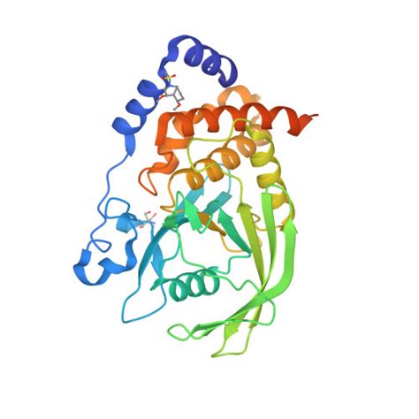 RCSB PDB 5QFG PanDDA Analysis Group Deposition Crystal Structure