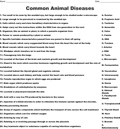 Common Animal Diseases Worksheet