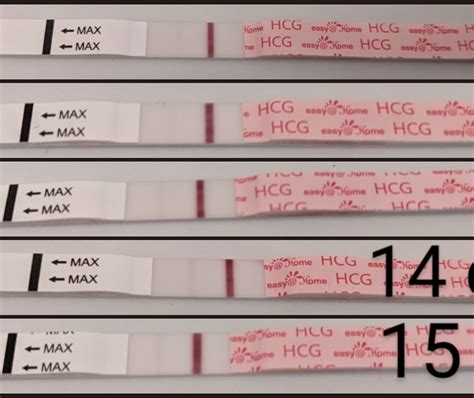 Chemical 11 15 Dpo Line Progression Easy Home Beta Was 28 At 14dpo R Tfablineporn