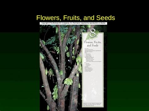 Ppt Flowers Fruits And Seeds Outline Dicots Versus Monocots Structure Of Flowers Fruits