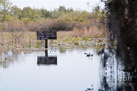 Swamp Signs Photograph By Andy Miller Fine Art America