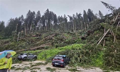 La Tromba D Aria Che Ha Abbattuto Gli Alberi In Cadore VIDEO