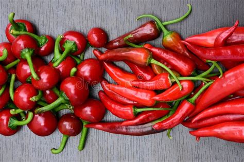 Pile Of Hot Peppers Border With Space For Text Different Red Hot Chili Peppers Stock Image