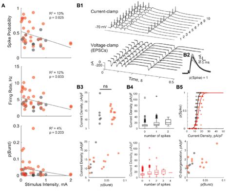 Pathological Bursting Arises From An Excitation Inhibition Imbalance