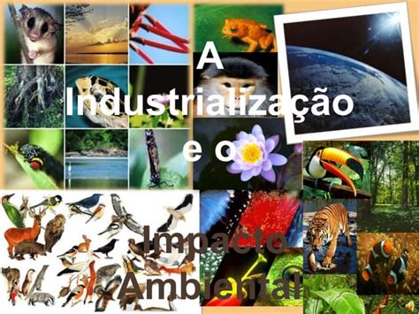 A Industrialização E O Impacto Ambiental Ppt