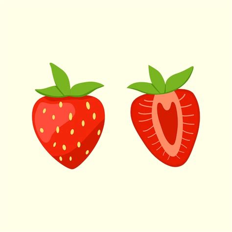 Premium Vector Strawberry Vector