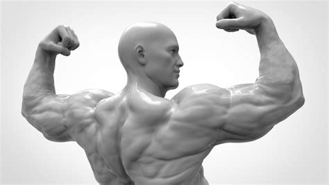 Bodybuilder Pose Anatomy 3d Model 3d Printable Cgtrader