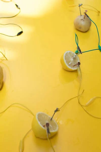 Batería de papa Actividad STEM con papas limones pinzas de cocodrilo